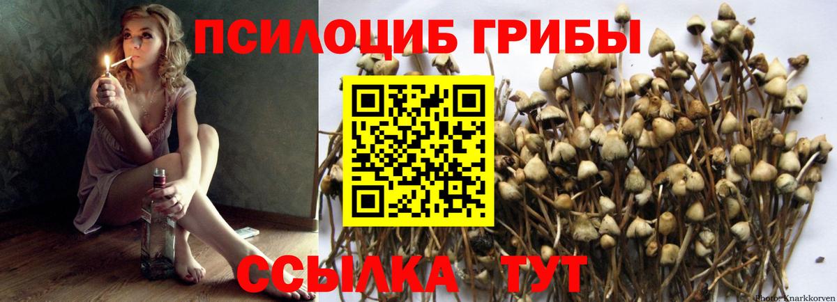 Стрежевой  Псилоцибиновые грибы мухоморы  Вход с VPN 